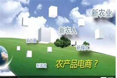 加快農(nóng)業(yè)信息化建設(shè)，拓展農(nóng)產(chǎn)品營銷新渠道